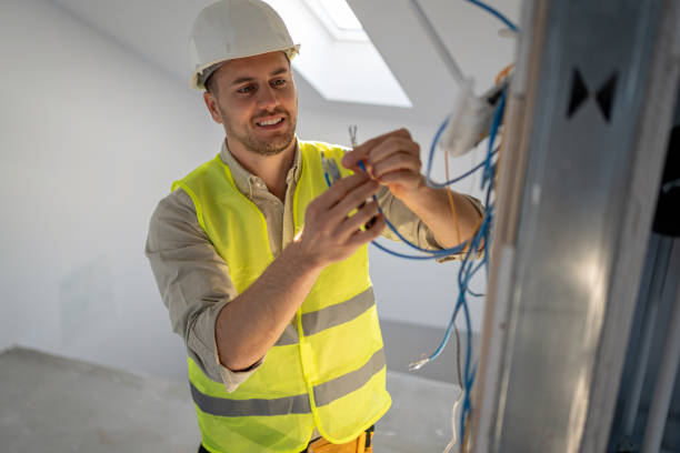 Best Electrical System Inspection  in Mount Olive, IL